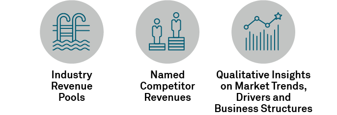 Industry Revenue Pools Named Competitor Revenues Qualitative Insights
