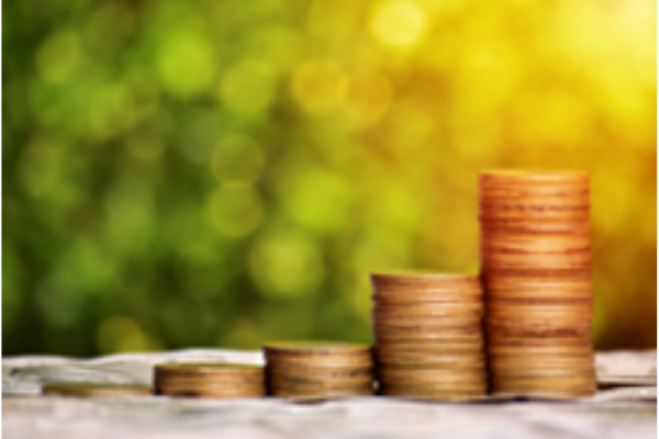 Environmental and Social Due Diligence