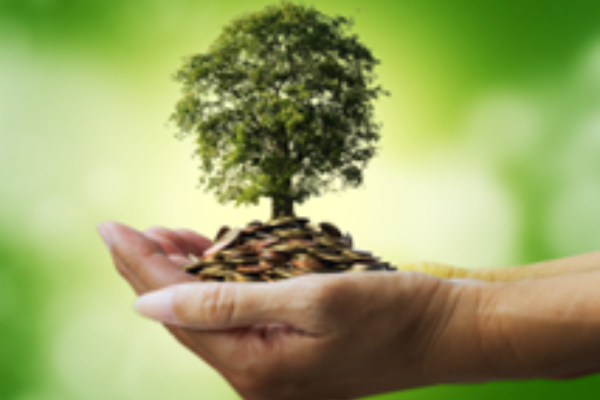 Sustainable Finance and Responsible Investments