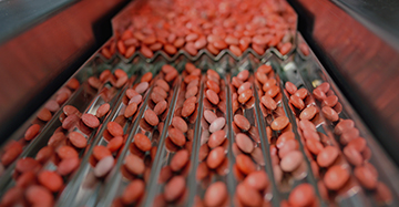 booster-shot-for-pharma-from-exports-costs-small-tiles