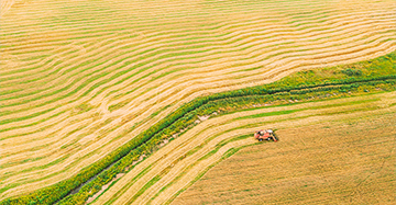 rural-landscape-small-tile